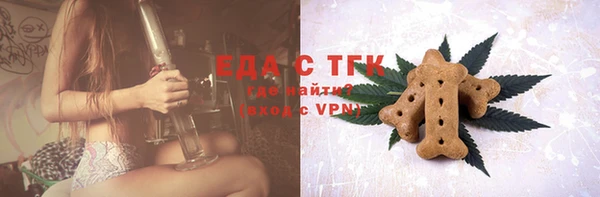 спиды Вяземский