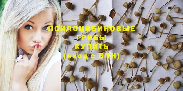 спиды Вяземский