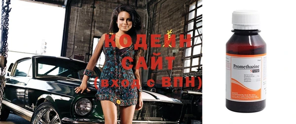 спиды Вяземский